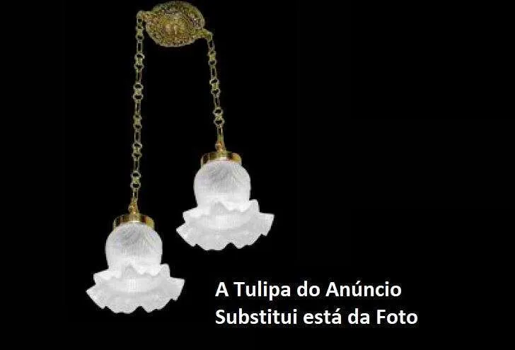 Kit c 03 Un. Tulipa Plástica Moderna Pata de Vaca Lustre e Ventilador de Teto Universal 6 Kit c 03 Un. Tulipa Plástica Moderna Pata de Vaca Lustre e Ventilador de Teto Universal - Imagem 6