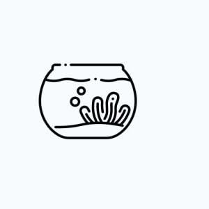 Aquário e Acessórios