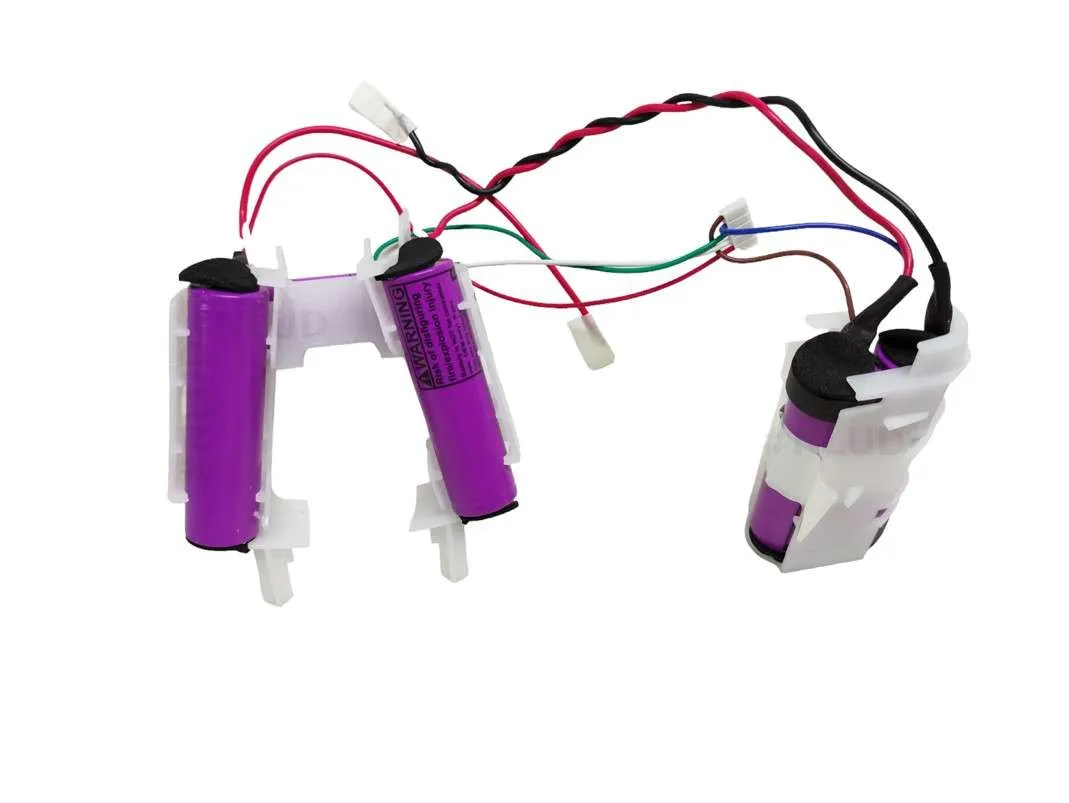 Conjunto de Baterias Aspirador de Pó Electrolux ERG15 ERG25 ERG26 ERG27 ERG28 Original